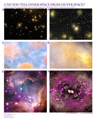 microbes and galaxies
