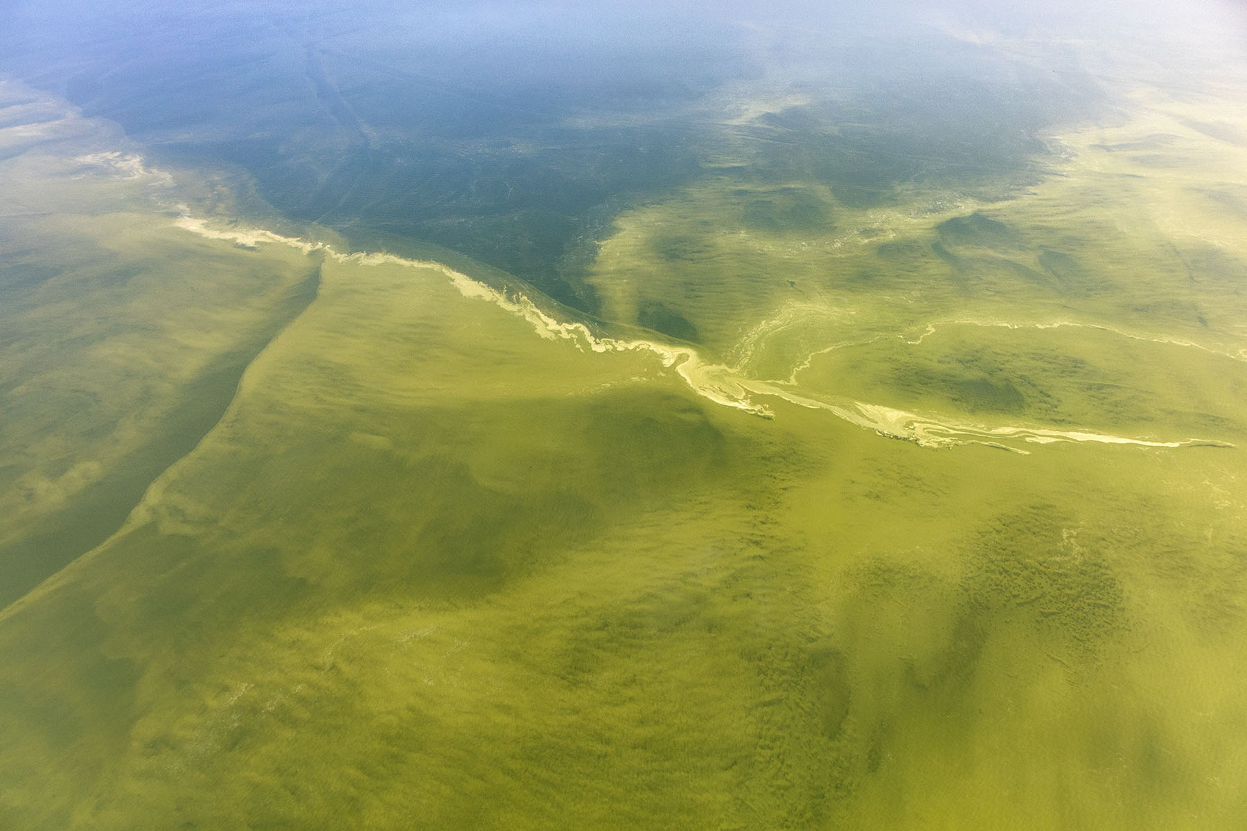 A lake full of algae will wreck more than your summer swimming plans