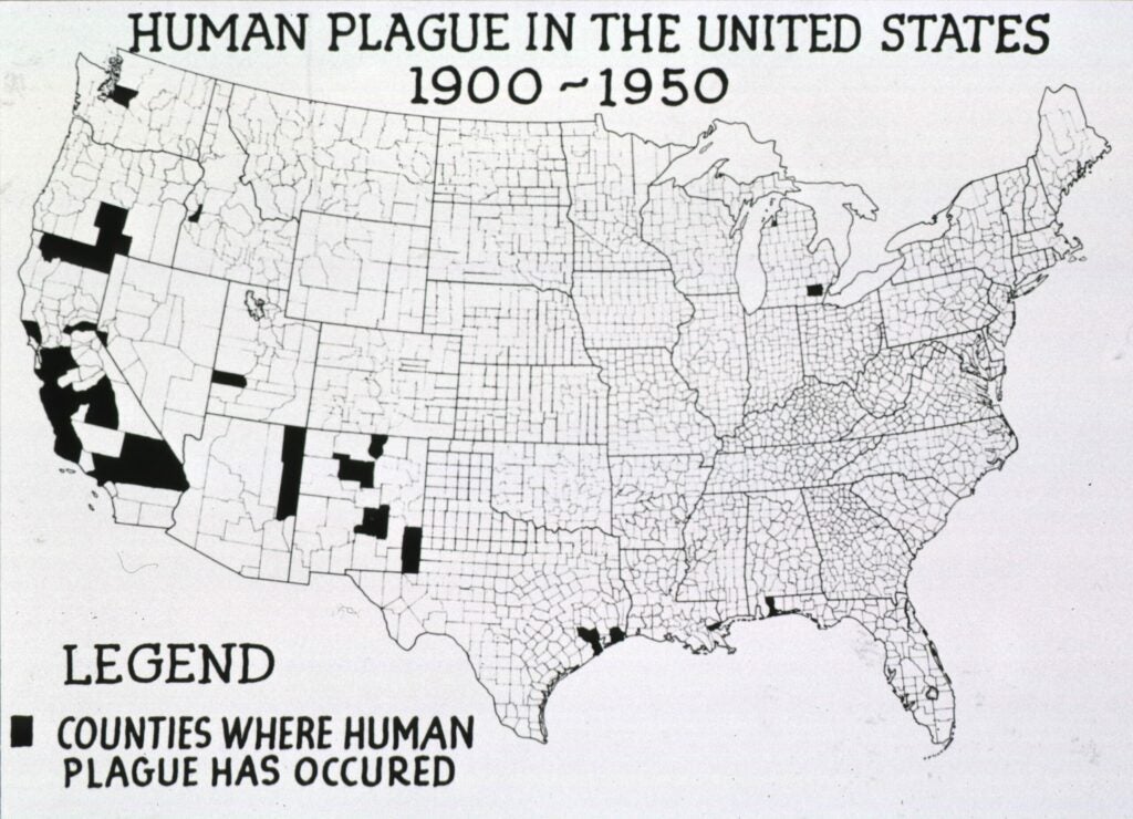 plague map