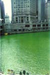 The Chicago River, dyed green for St. Patrick's Day.