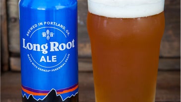 patagonia provisions long root ale