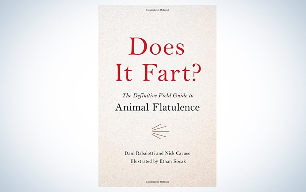 fart cover