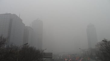 Artificial Intelligence That Battles Smog