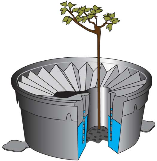 Water condenses on the box's cool top, collects in a tank, and drips into the soil to hydrate the plant.