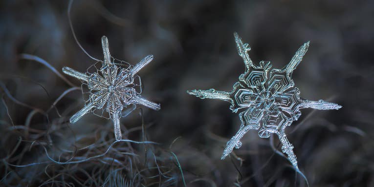 How a snowflake gets its shape