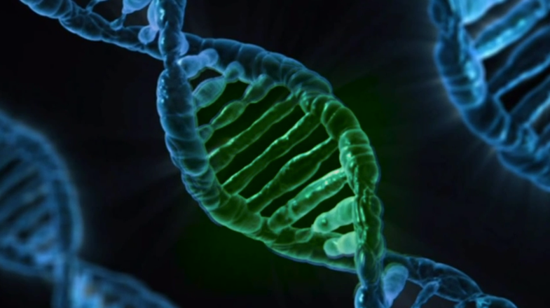 Inside Brazil’s Human Genome Research Center [Video]