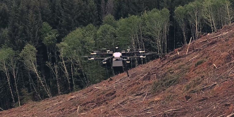 DroneSeed Company Could Replant Burned Forests