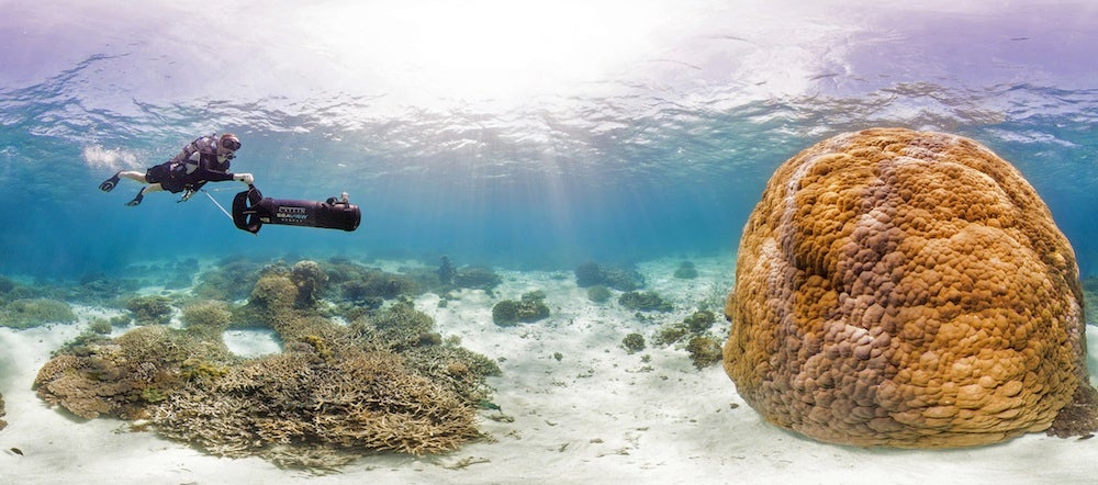 See Coral Reefs Like Never Before Thanks To Gorgeous New Panoramas