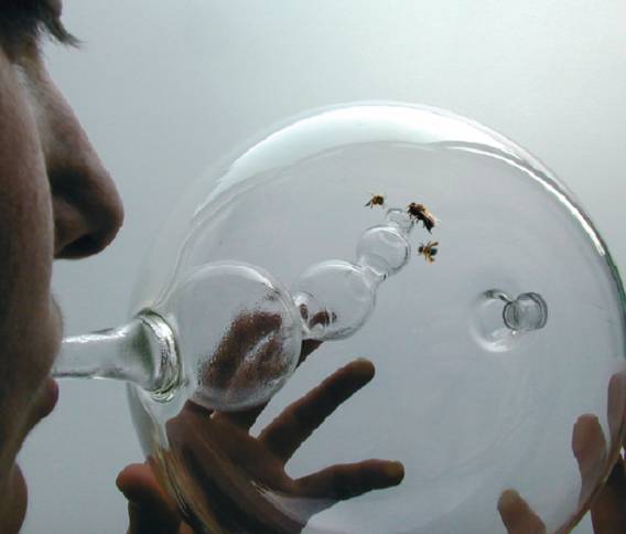 "Bees have a phenomenal odor perception," explains designer Susana Soares in the exhibition catalog. "They can be trained within minutes using Pavlov's reflex to target a specific odor." When a woman breaths into the Fertility Cycle Object, bees are trained to fly to the large interior chamber if the woman is ovulating, the middle chamber during pre-ovulation, and the smallest chamber during post-ovulation. "This exhibition is about science—not only about technology—because I saw the possibility of almost bypassing technology for once and creating a short circuit between design and science," says Antonelli. The Fertility Cycle Object is made of hand-blown borosilicate glass.
