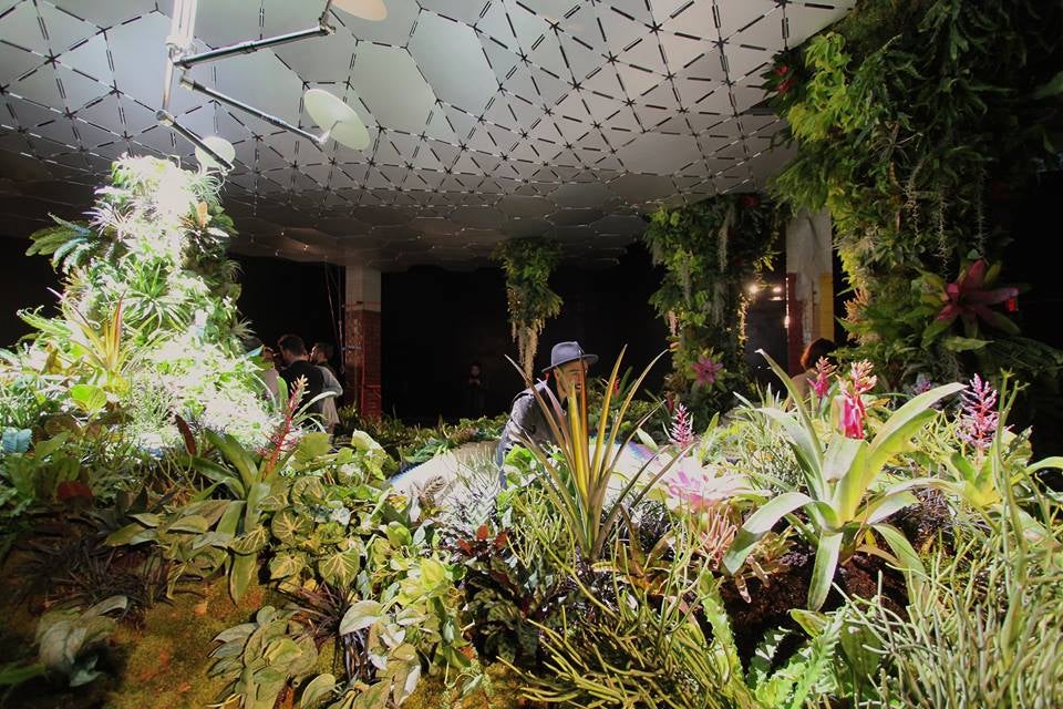 New York already has the High Line, and soon it may also have a <a href="http://www.thelowline.org/">Lowline</a>. Designer James Ramsey and his team are cultivating a plant underworld in their Lowline Lab, a warehouse in Manhattan's Lower East Side, as a proof-of-concept. The lab sits near the abandoned, one-acre Williamsburg Bridge Trolley Terminal where Ramsey hopes to execute the project. If he gets the go-ahead from the city and the MTA, the Lowline would be the world's first underground park. For now, visitors can see the lab, which is free and open to the public, on Saturdays and Sundays until March.