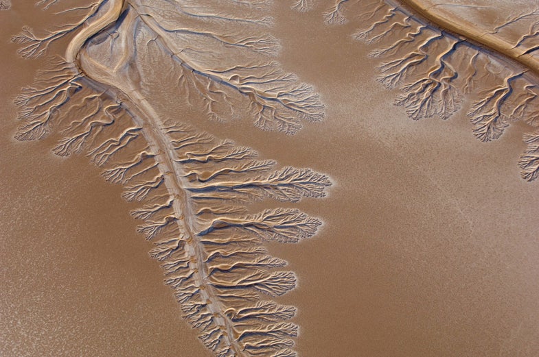 Colorado River Delta To Get Colorado River Water For First Time In Years