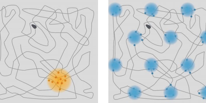 Map-Making In The Brain Wins Nobel Prize In Medicine