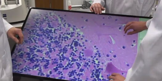 Video: Turning A Massive Touchscreen Display Into a Multitouch Microscope