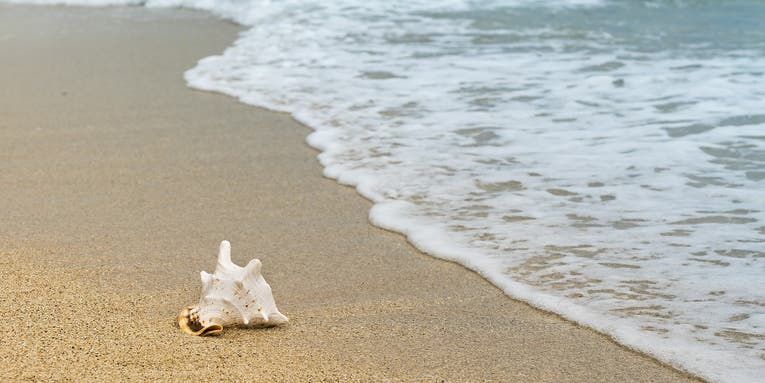 How to leave the sand behind on your next beach trip