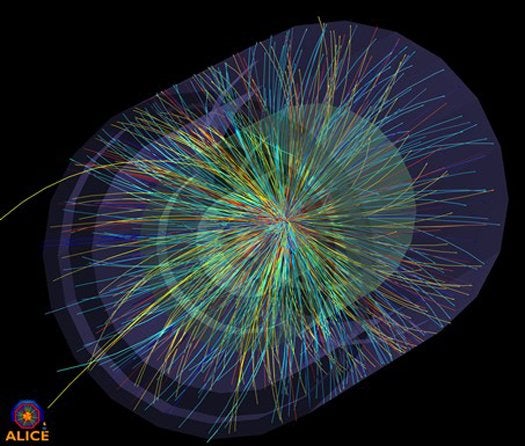 Heavy Ion Collisions as Seen by the ALICE Experiment
