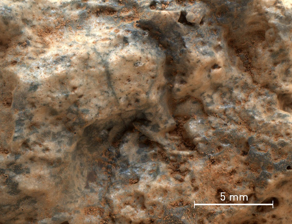 Mars Rock Samples Point to Earth-Like Crust