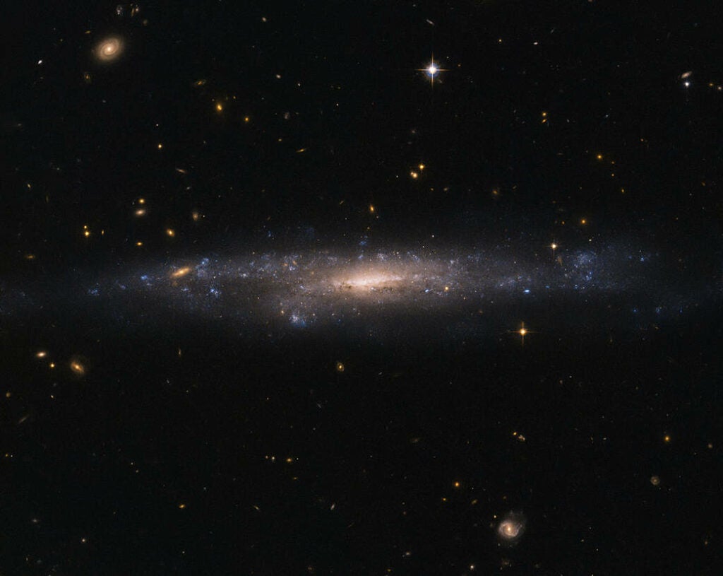 A Galaxy Full of Dark Matter