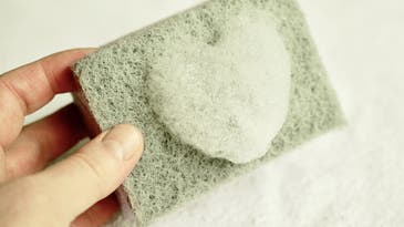 Your kitchen sponge could have more bacteria than a toilet seat