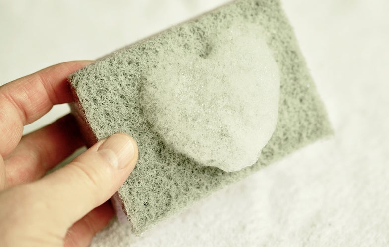 Your kitchen sponge could have more bacteria than a toilet seat