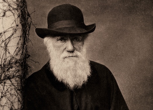 Darwin Wasn’t A Complete Chauvinist After All