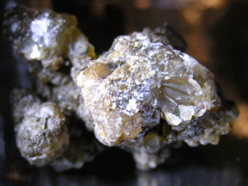 Biogenic mineral crystal from the walls of La Pilita fell into the frame of the DepthX robot during a deep mission. These crystals are thought to be forming through biologic-mediated processes.