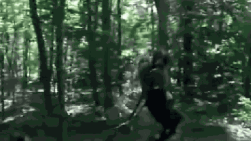 Watch The Boston Dynamics Robot Take A Surreal Hike In The Woods