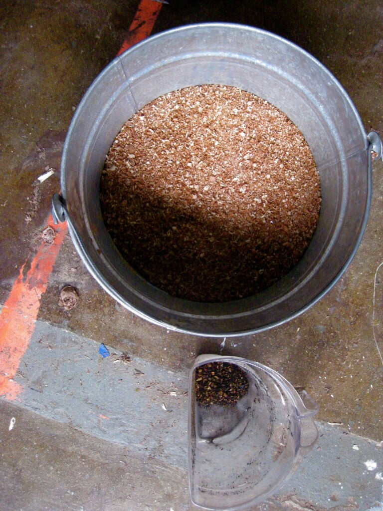 re:char is testing biomass like the sawdust in the bucket here (above) and converting it to biochar, shown in the plastic container (below).