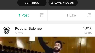 How To Save Your Favorite Vines Forever