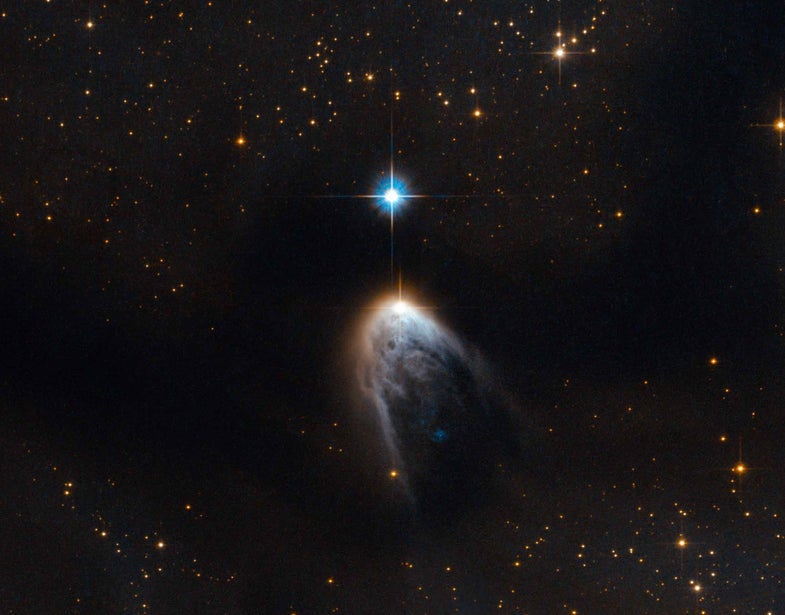 This new Hubble image shows IRAS 14568-6304, a young star that is cloaked in a haze of golden gas and dust. It appears to be embedded within an intriguing swoosh of dark sky, which curves through the image and obscures the sky behind. This dark region is known as the Circinus molecular cloud. This cloud has a mass around 250 000 times that of the Sun, and it is filled with gas, dust and young stars. Within this cloud lie two prominent and enormous regions known colloquially to astronomers as Circinus-West and Circinus-East. Each of these clumps has a mass of around 5000 times that of the Sun, making them the most prominent star-forming sites in the Circinus cloud. The clumps are associated with a number of young stellar objects, and IRAS 14568-6304, featured here under a blurry fog of gas within Circinus-West, is one of them. IRAS 14568-6304 is special because it is driving a protostellar jet, which appears here as the "tail" below the star. This jet is the leftover gas and dust that the star took from its parent cloud in order to form. While most of this material forms the star and its accretion disc — the disc of material surrounding the star, which may one day form planets — at some point in the formation process the star began to eject some of the material at supersonic speeds through space. This phenomenon is not only beautiful, but can also provide us with valuable clues about the process of star formation. IRAS 14568-6304 is one of several outflow sources in the Circinus-West clump. Together, these sources make up one of the brightest, most massive, and most energetic outflows ever reported. Scientists have even suggested calling Circinus-West the "nest of molecular outflows" in tribute to this activity. A version of this image was entered into the Hubble's Hidden Treasures image processing competition by contestant Serge Meunier.