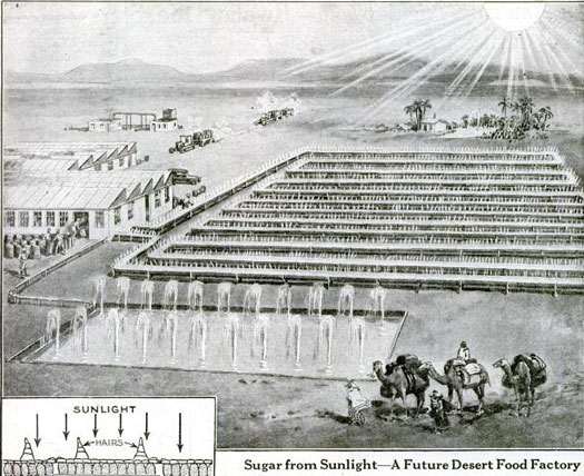 While studying photosynthesis, scientists in the 1920s grew confident that future farmers and factory workers would understand it so well, that they would develop the technology needed to grow plants and produce sugar in the desert. Pictured left is a hypothetical desert factory for the artificial manufacture of sugar. Water charged with carbon dioxide would flow through glass pipes encased in mirror-lined troughs. We imagined that the intensified sunlight would improve on photosynthesis by making it occur faster. Read the full story in "Noted Scientists Grapple with Food and Fuel Famine"