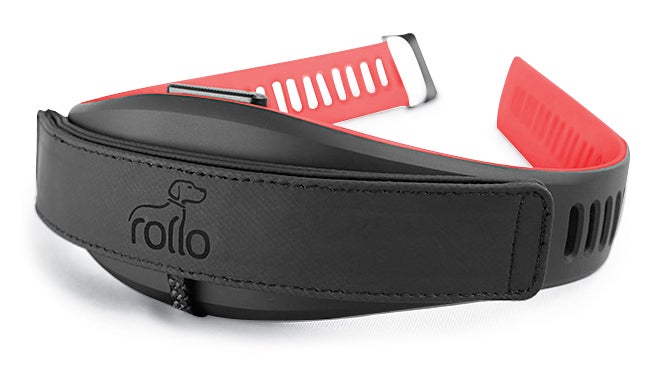 <strong>Rollo Collar</strong><br />
The Rollo Collar is also a leash. A 4.5-foot cord winds into a compartment built into the collar, and magnets hold the handle securely in place. After the leash uncoils, users press a button on the collar to lock the lead at the desired length.<a href="http://www.rollocollar.com/"> $45</a>