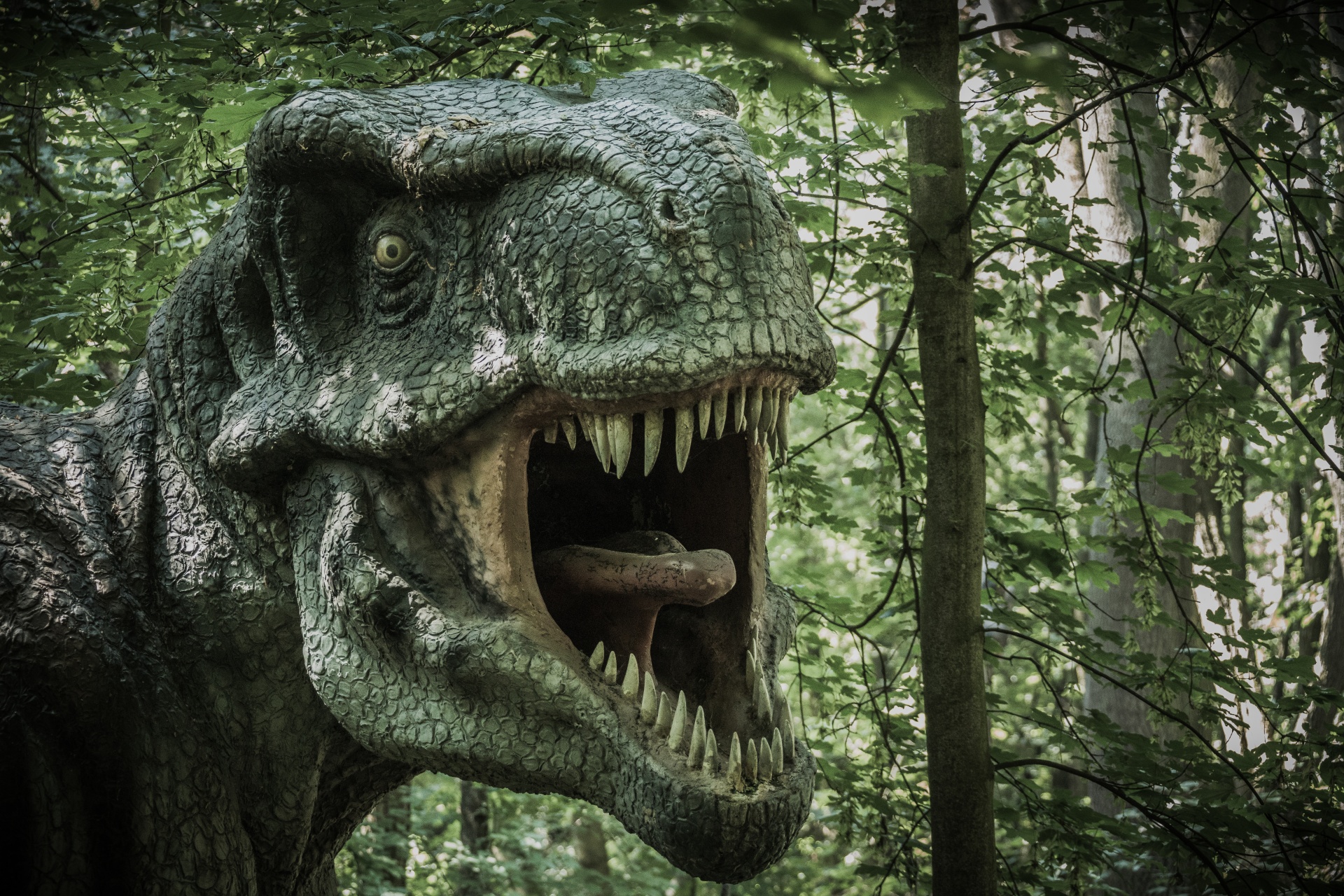 Why it would have been impossible for a T. rex to stick out its tongue