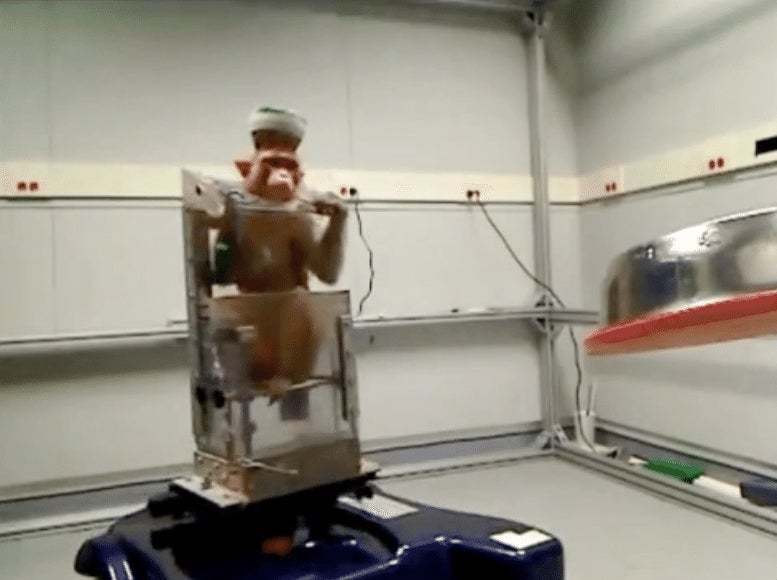 Monkeys Drive Wheelchairs Using Thought Alone