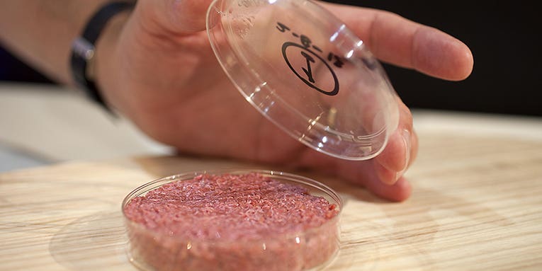 The First Lab-Grown Hamburger Is Served