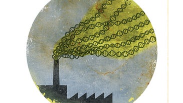Big Idea: Pollution Can Be Inherited