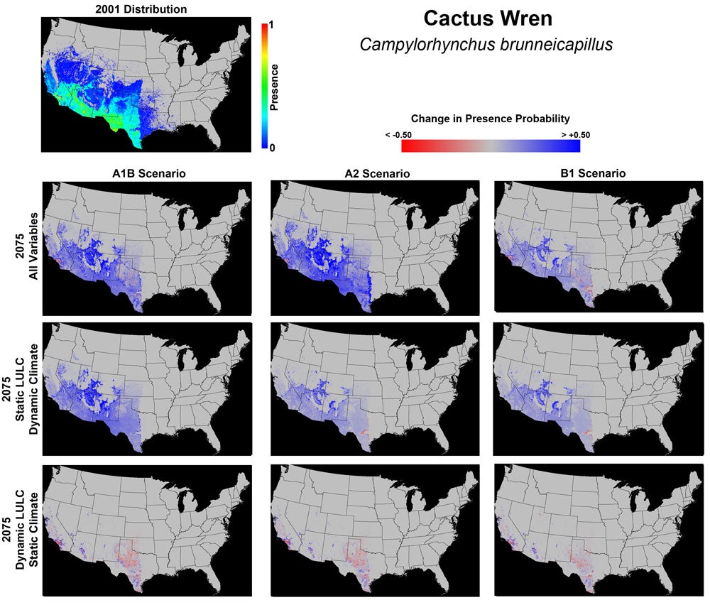 Cactus wren range map