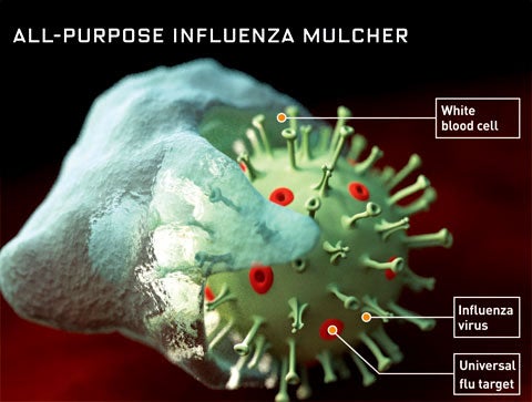 A single-shot universal vaccine against any strain of influenza <strong>The Prescription:</strong> Immunologists are aiming at a fresh target: M2, a protein on the surface of viruses that appears almost unchanged in nearly every known strain of flu. An M2 vaccine, scientists say, could fight forms of the virus that haven´t even appeared yet. But unlike other vaccines, the M2 shot won´t actually stop infection. It works by kicking off a massive immune response that weakens the effects of flu, making it easier to survive potentially lethal symptoms like fever and dehydration. Immunologist Walter Gerhard of the Wistar Institute in Philadelphia says that spiking a standard flu shot with M2 could dramatically broaden its protective powers against epidemic influenza strains.<br />
** When?:** Trials could begin next year.