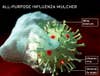A single-shot universal vaccine against any strain of influenza <strong>The Prescription:</strong> Immunologists are aiming at a fresh target: M2, a protein on the surface of viruses that appears almost unchanged in nearly every known strain of flu. An M2 vaccine, scientists say, could fight forms of the virus that haven´t even appeared yet. But unlike other vaccines, the M2 shot won´t actually stop infection. It works by kicking off a massive immune response that weakens the effects of flu, making it easier to survive potentially lethal symptoms like fever and dehydration. Immunologist Walter Gerhard of the Wistar Institute in Philadelphia says that spiking a standard flu shot with M2 could dramatically broaden its protective powers against epidemic influenza strains.<br />
** When?:** Trials could begin next year.