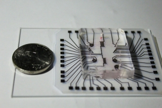 This cheap and easy lab-on-a-chip could save lives