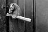 Readers Respond: Don&#8217;t Touch Our Doorknobs