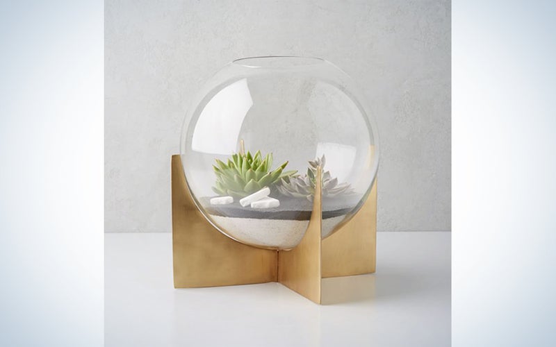 a glass terrarium with succulents