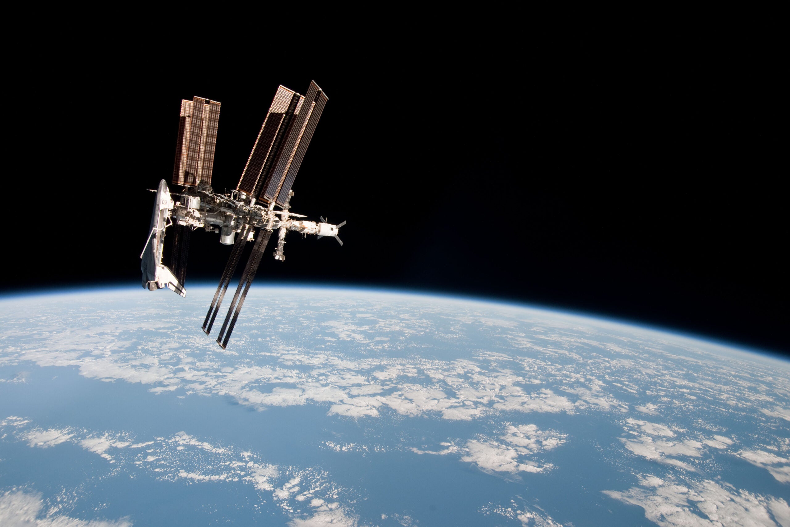 Next Year, Biologists Will Be Able To Track Animals In Real Time Using The  ISS