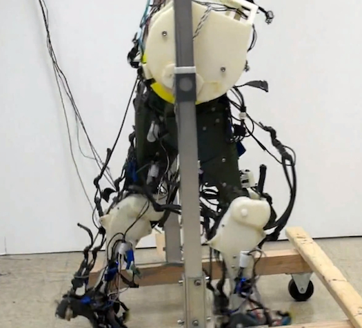 Video: The Closest Robotic Legs Have Ever Gotten to Mimicking Human Gait