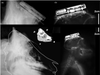 X-ray images show the implanted neural interfaces several months following surgery. Four neural interfaces were implanted in a total of two Yorkshire pigs (a) and two rhesus macaque non-human primates (b).