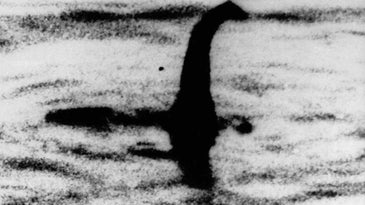 Why scientific evidence won't change the minds of Loch Ness monster true believers