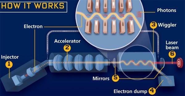 The free-electron laser is the most â€tunableâ€ laser being developed. To generate its beam, scientists use light from a small laser to strike a superconductor inside the injector [1]. The interaction produces electrons that emerge as a beam and travel into an accelerator [2], where microwave power accelerates the beam, increasing the electrons´ energy. Moving at near-light speed, the energized beam enters the â€wigglerâ€ [3], which uses an alternating magnetic field to shake the electrons. When electrons change direction, they eject photons-light particles that will become the laser beam itself. Once through the wiggler, the electrons are discarded into an â€electron dumpâ€ [4], and the photons, amplified by several passes through a mirror assembly [5] and the wiggler, emerge as a coherent beam [6], one powerful enough to melt metallic surfaces.