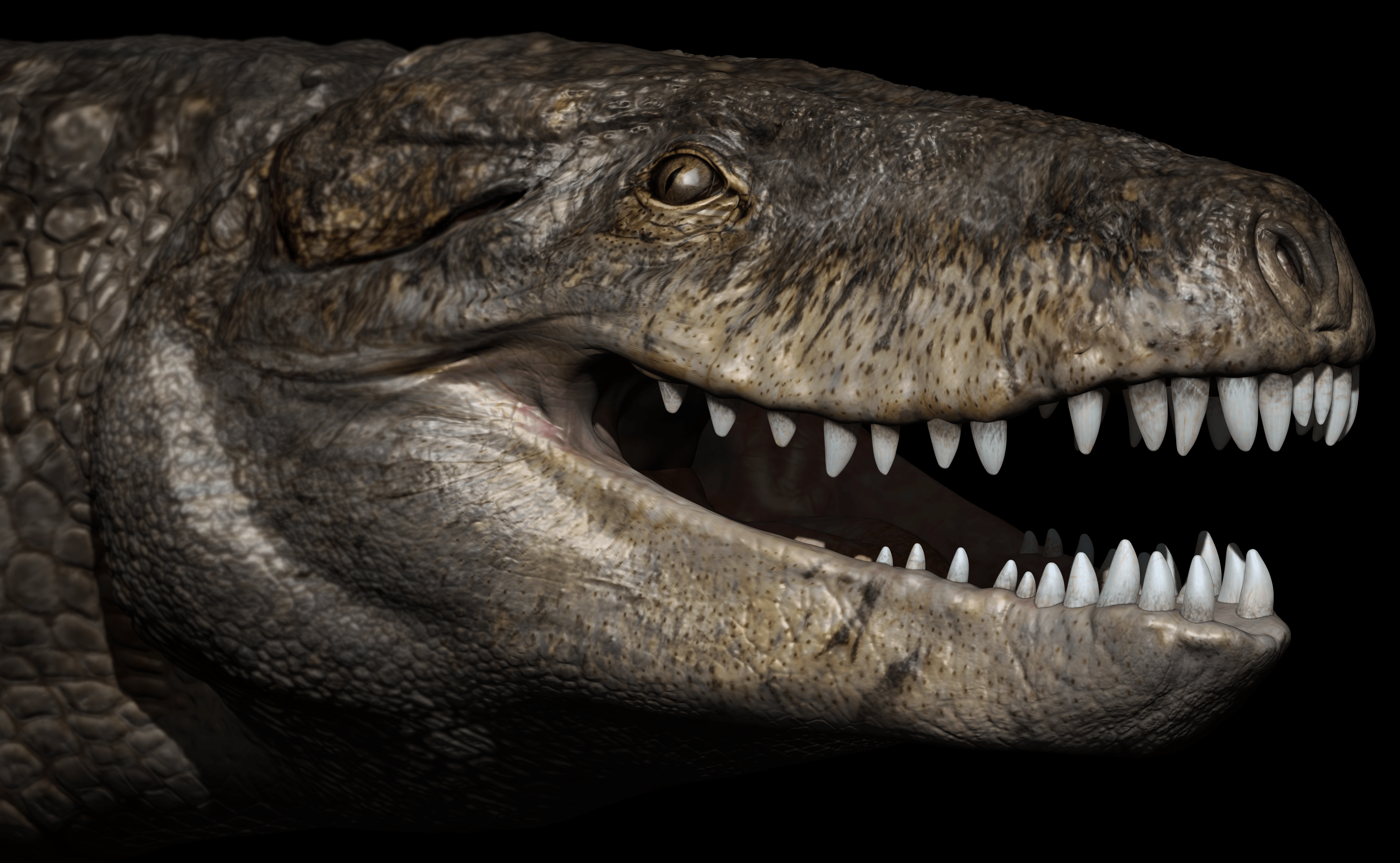 This ancient one-ton crocodile had steak knives for teeth