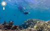 Sometimes Google's Street View cars capture people on the street, which has become its own little Internet cottage industry. The same is true for divers in snorkel view! This image is from Hanauma Bay Nature Preserve in Honolulu, Hawaii.