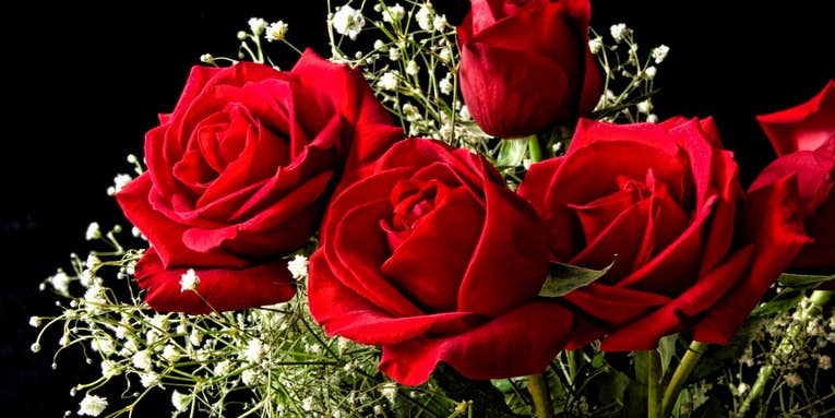 Scientists Create Electronic Circuits In Living Roses