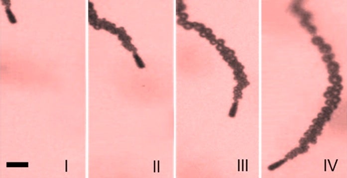 a series of photos showing a micro-motor followed by a trail of bubbles